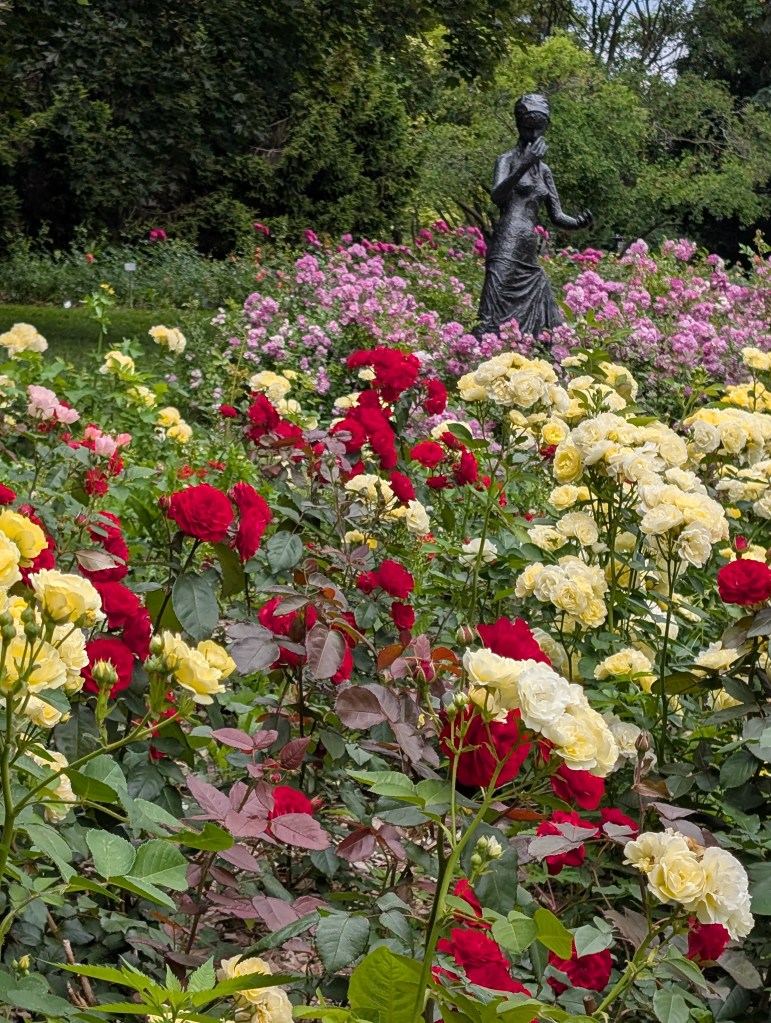 Bronze sculpture 'The First Jewel', in the rose garden of the botanical garden (Jardin Botanique) in Montreal, Canada. The sculpture shows a woman with her hands held in front of her, originally the statue held a string of pearls between her outstretched hands. She is surrounded by red, yellow and pink roses in bloom.